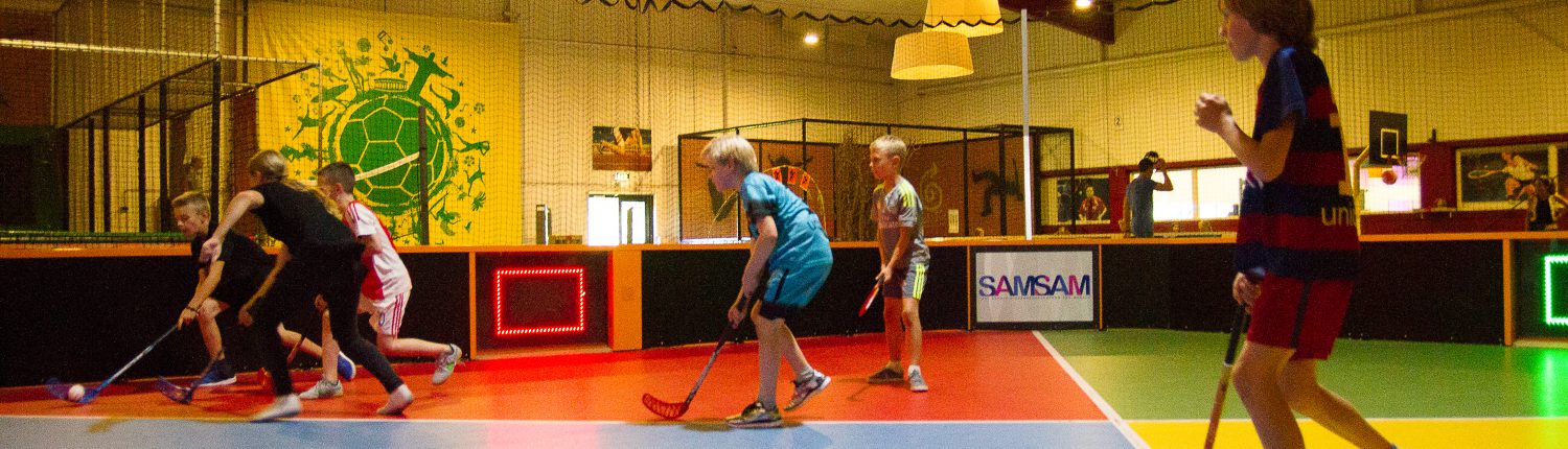 hockey samsam
